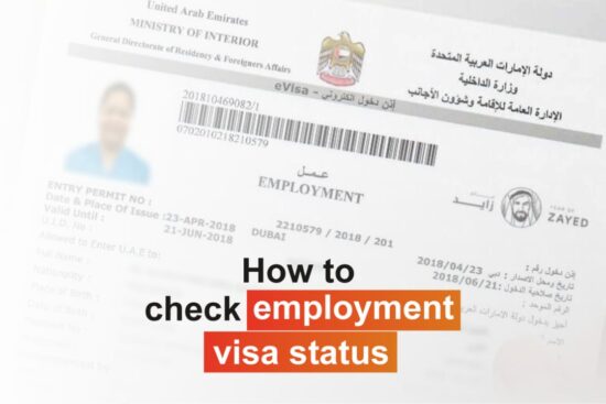 how to check employment visa status