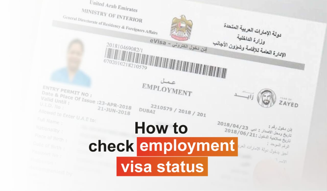 how to check employment visa status